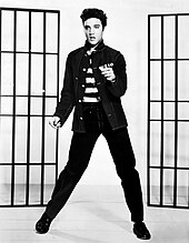 singer Elvis Presley