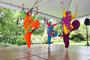 Bhangra dancers at the International Children's Festival