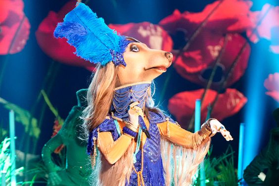 THE MASKED SINGER: Afghan Hound on THE MASKED SINGER "Wizard of Oz Night" episode airing Wednesday, March 13 (8:00-9:00 PM ET/PT) on FOX