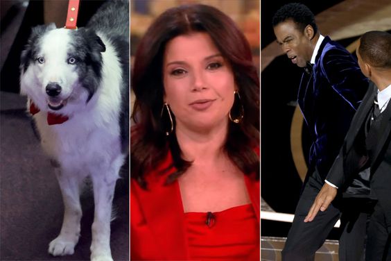 Messi at the 96th Oscars, Ana Navarro on The View, Will Smith appears to slap Chris Rock onstage during the 94th Oscars